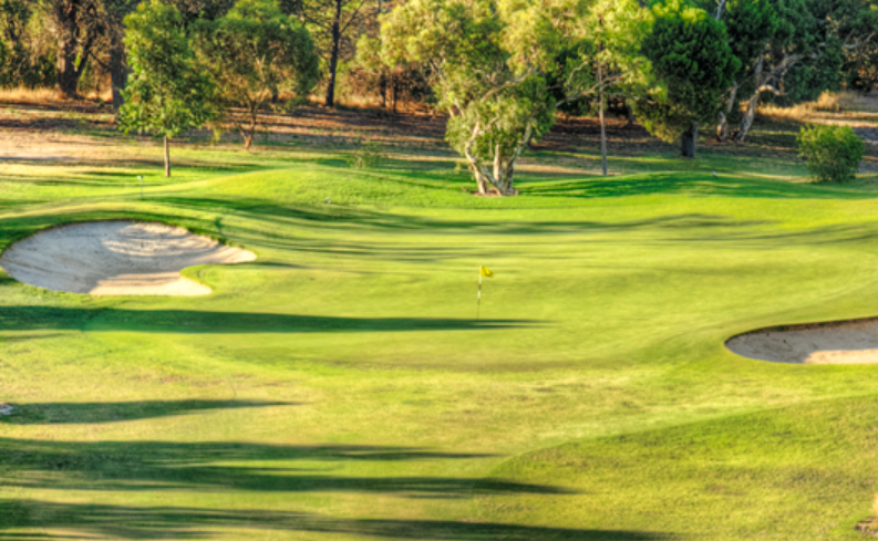 Kilburn Golf Day 2024.