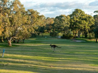 Kilburn Golf Day 2026.